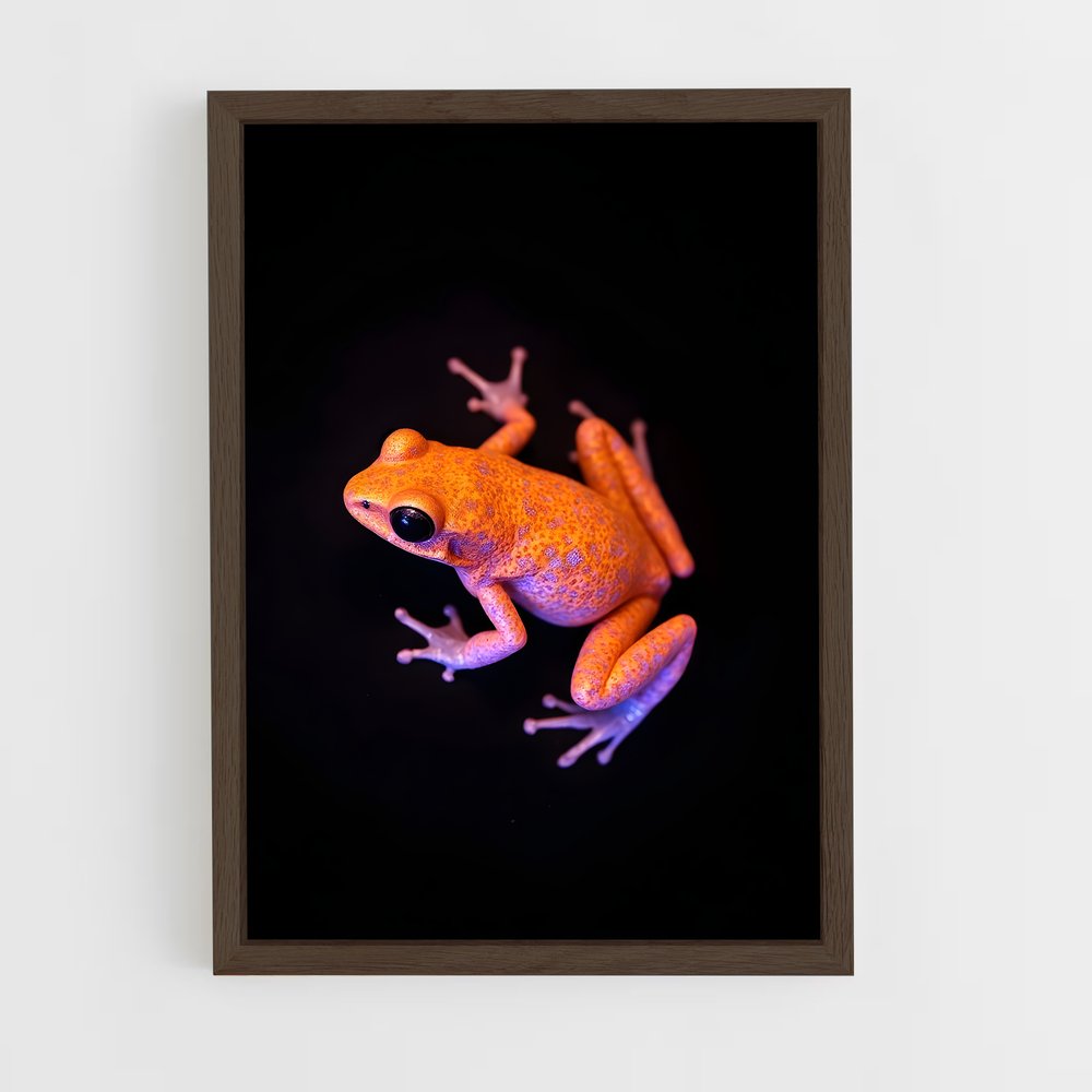 ap-frog-2 cadre Bois foncé