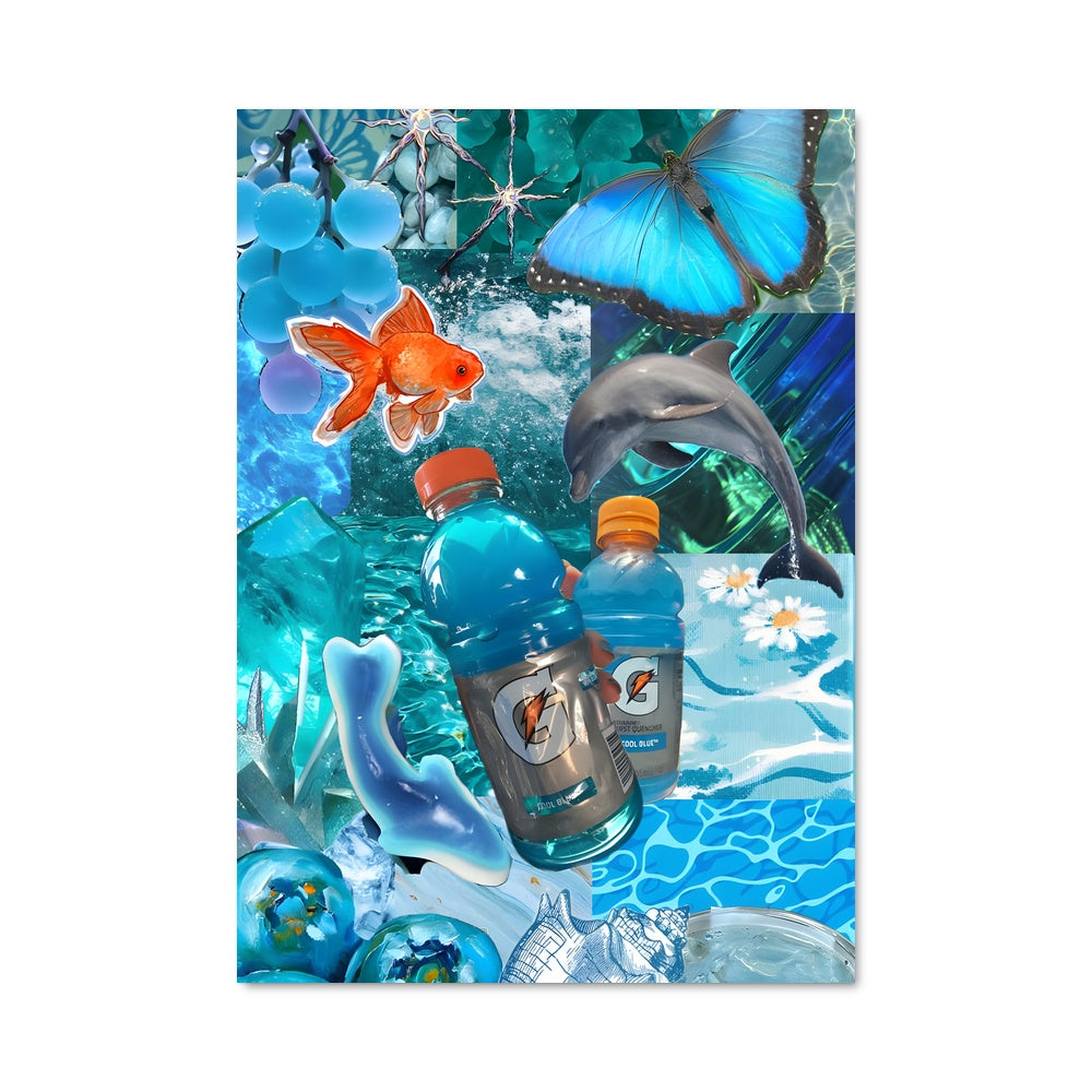 Poster Danse des Dauphins