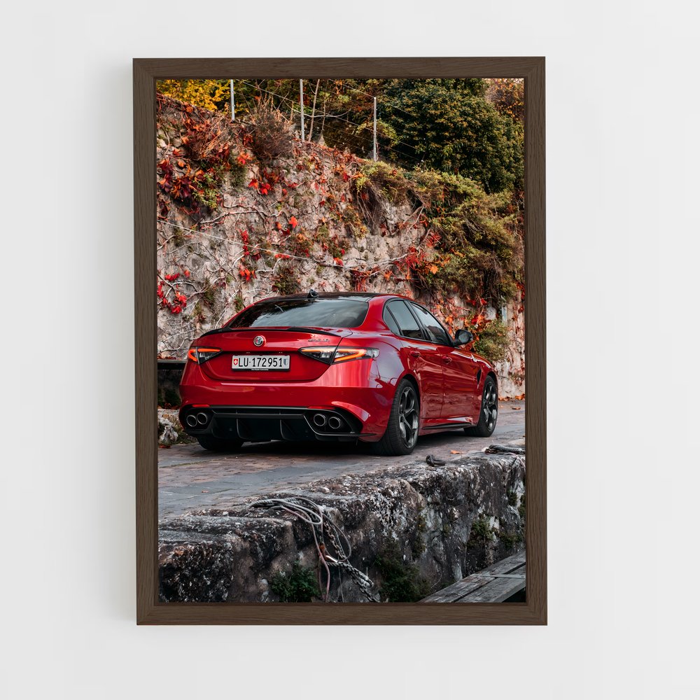 ap-giulia quadrifoglio-7 cadre Bois foncé