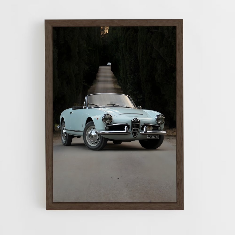 ap-giulietta-3 cadre Bois foncé
