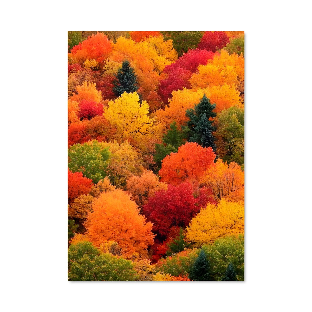 Poster Forêt Enflammée