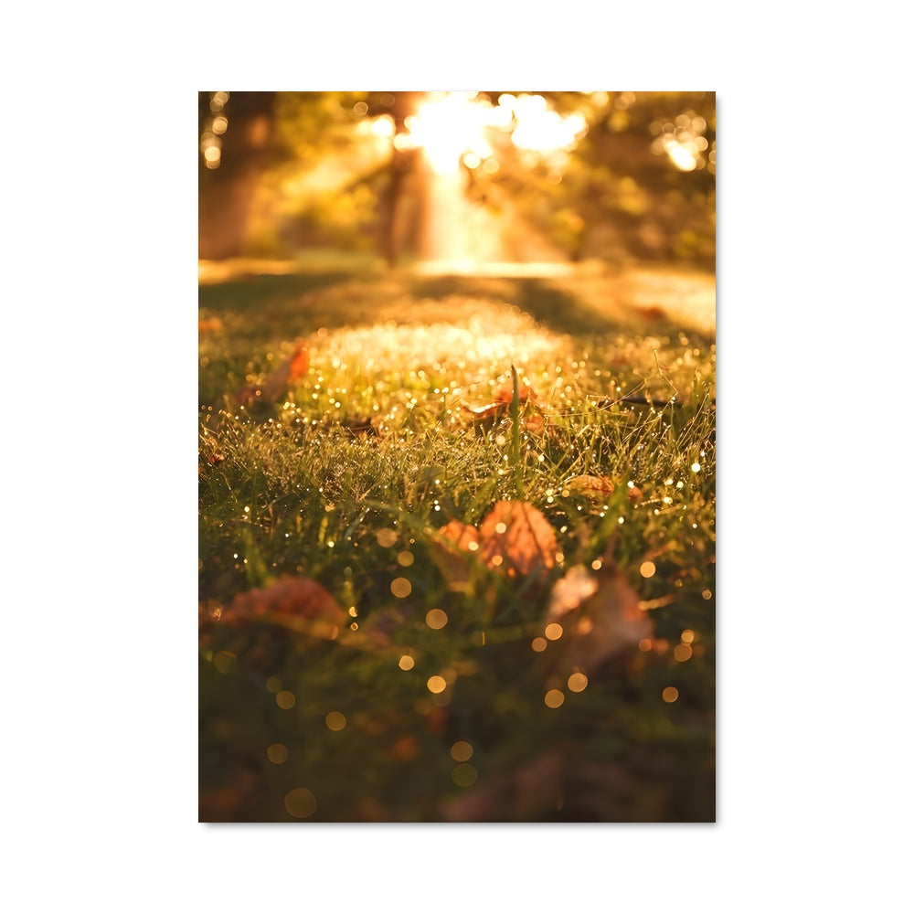 Poster Golden hour 97835