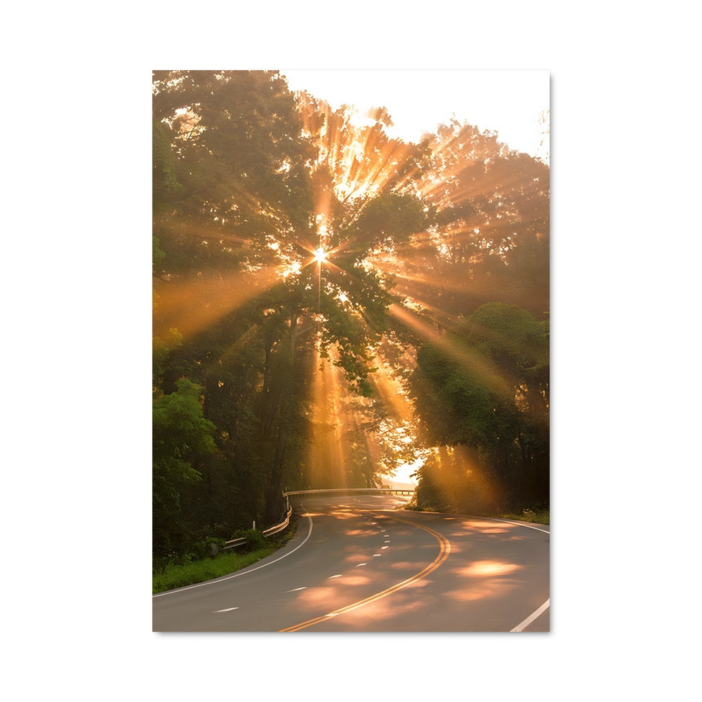 Poster Lumière dorée