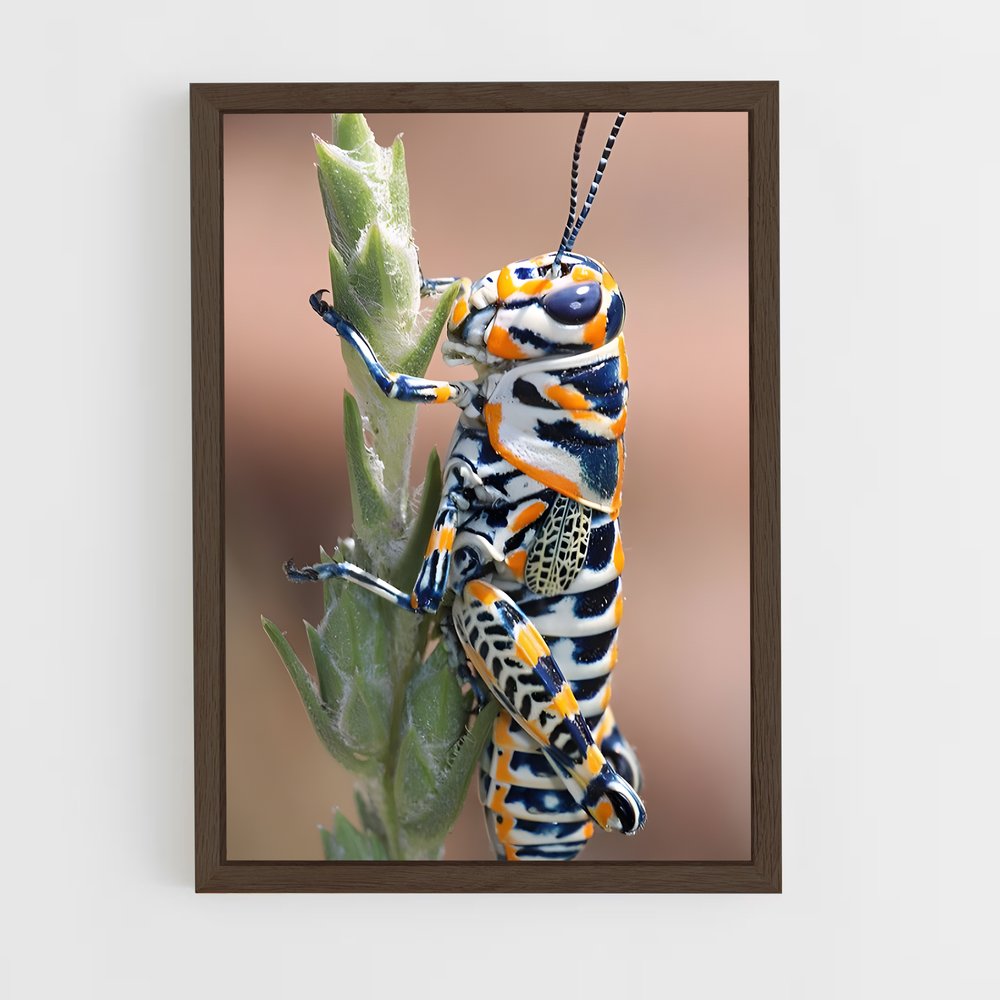 ap-grasshopper-8 cadre Bois foncé
