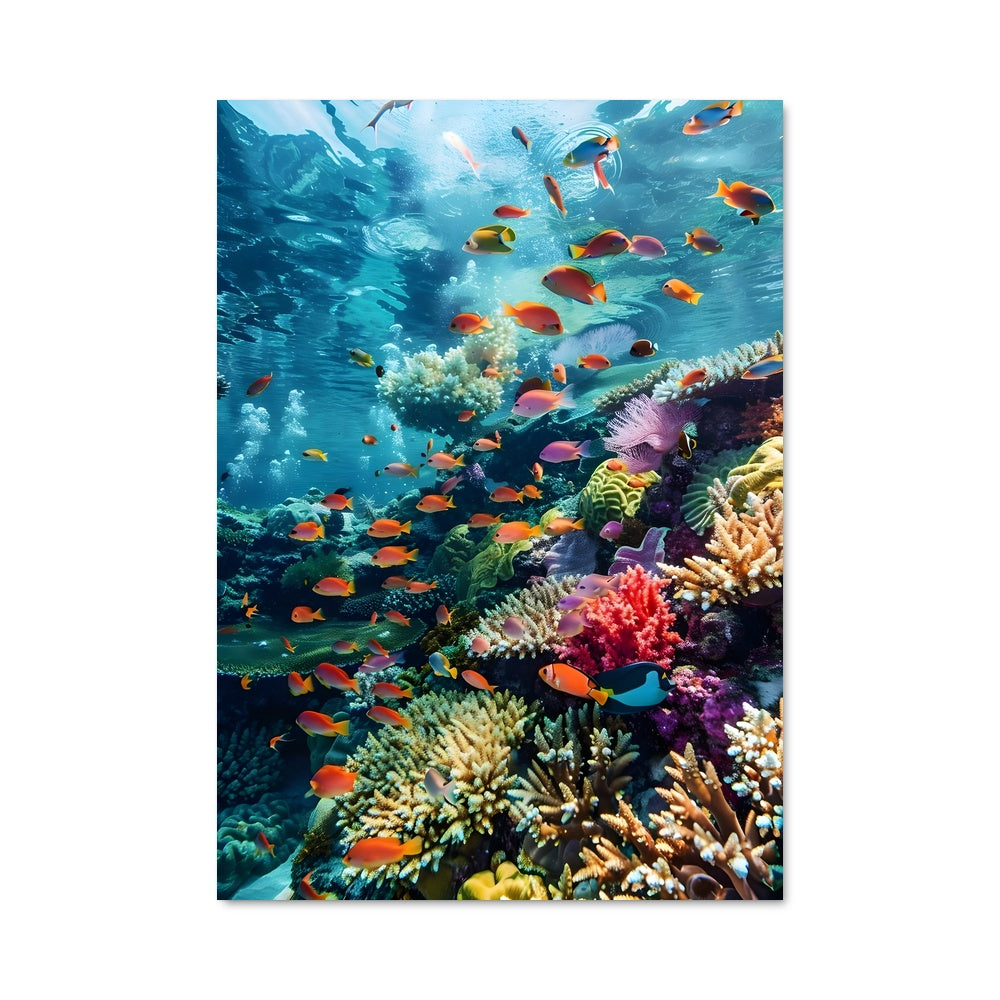 Poster Récif Coloré