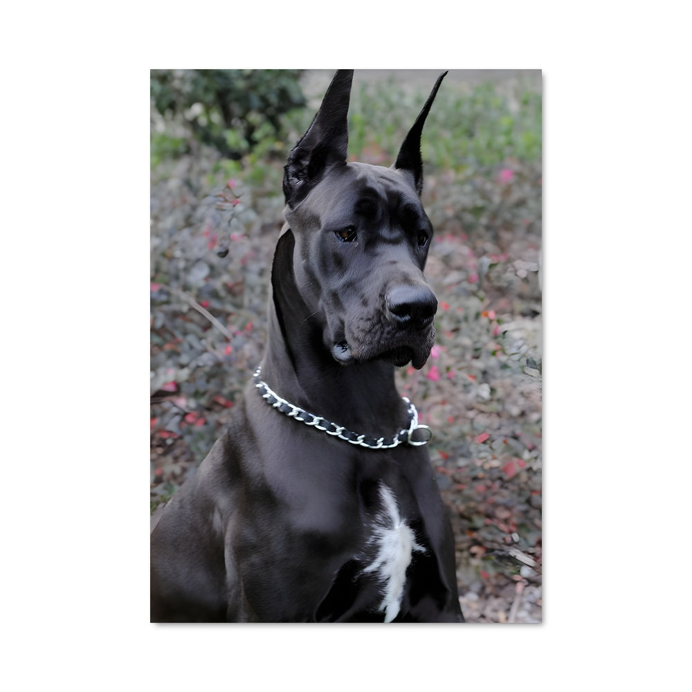 Poster Le Grand Noir