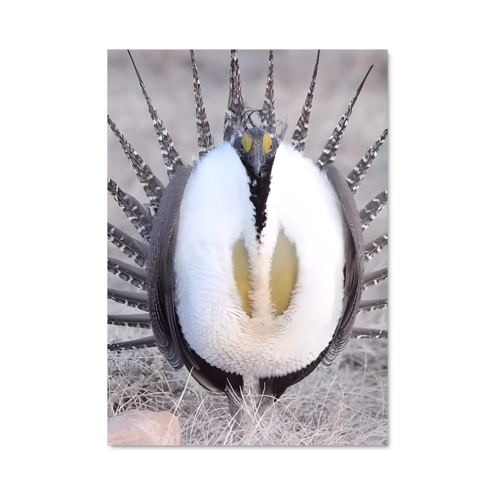 Poster La Grue Mystérieuse