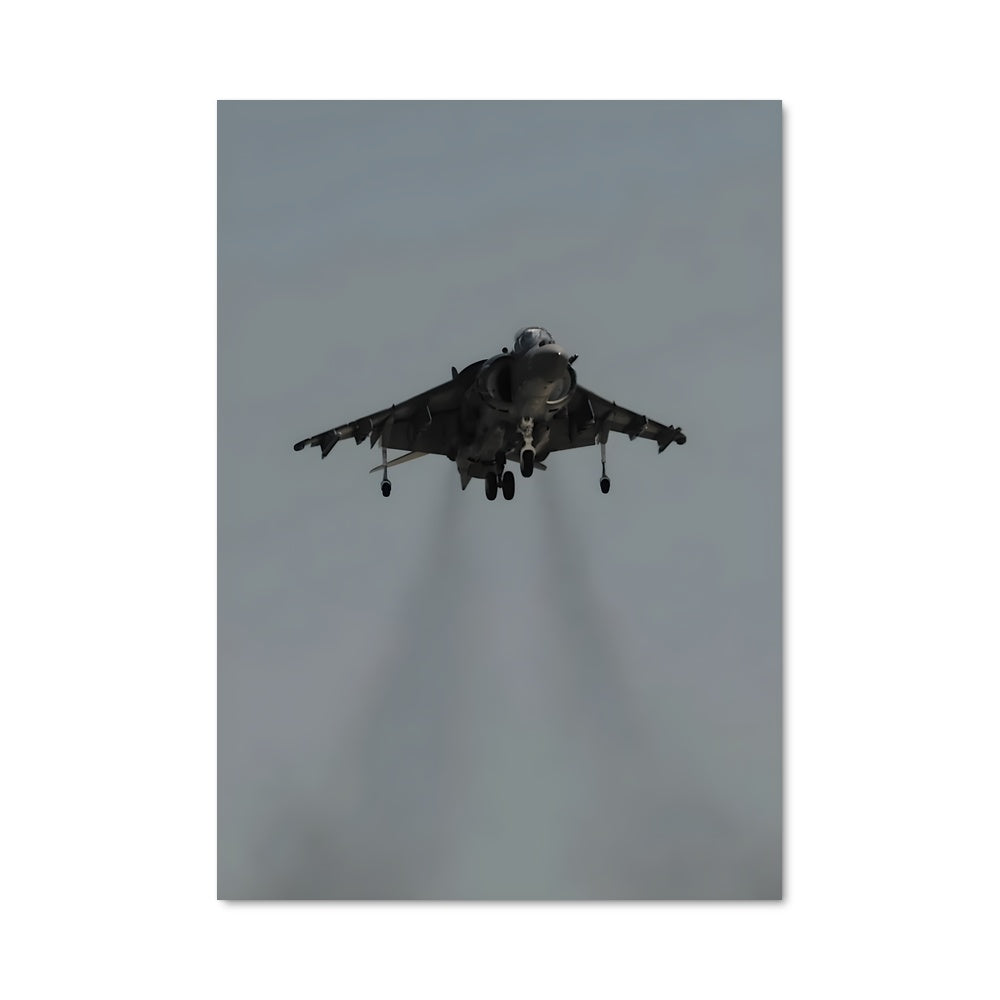 Poster Harrier en Vol