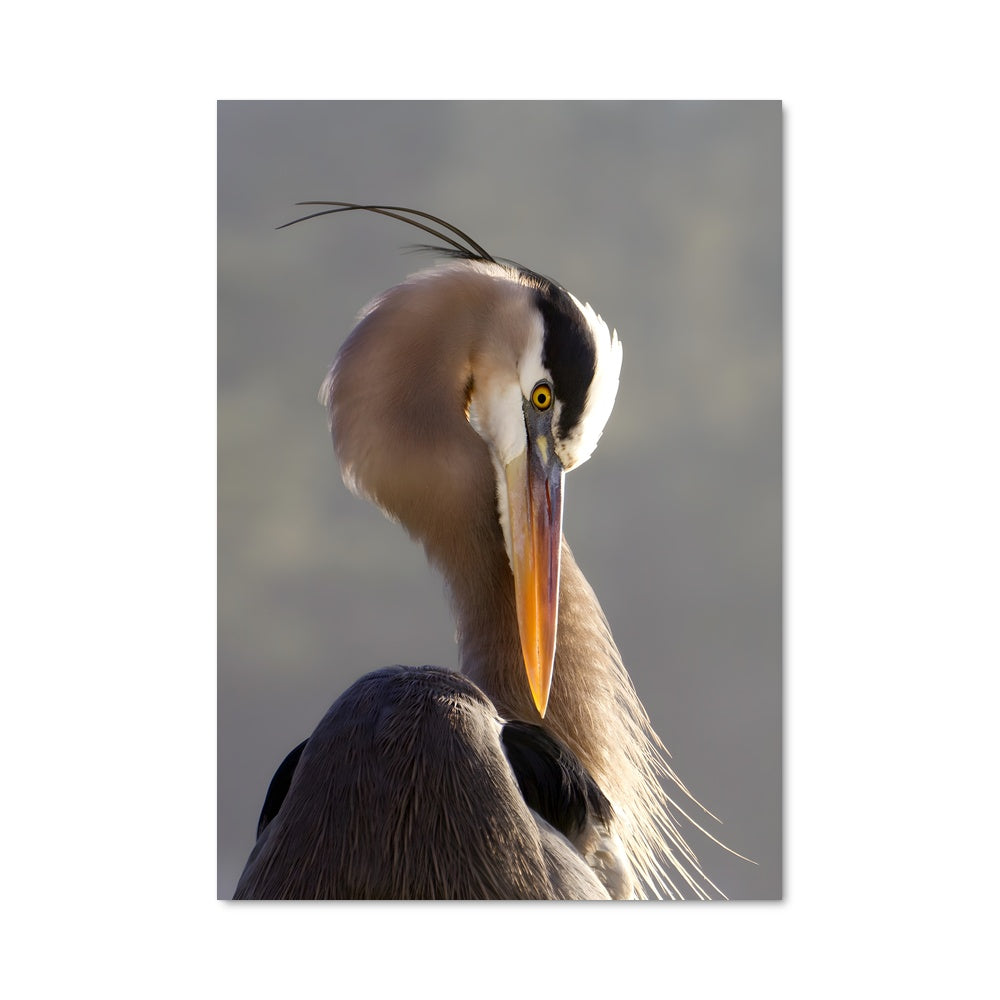 Poster La Grâce du Héron