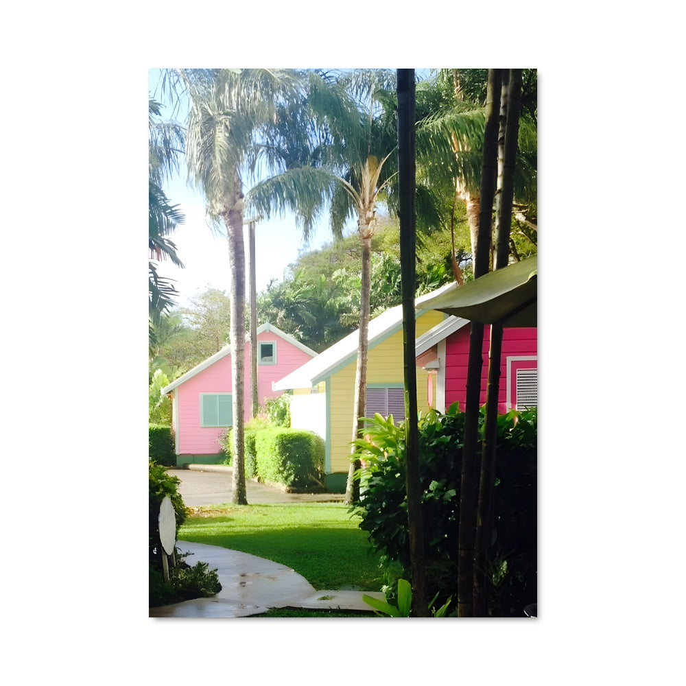 Poster Jardin Coloré