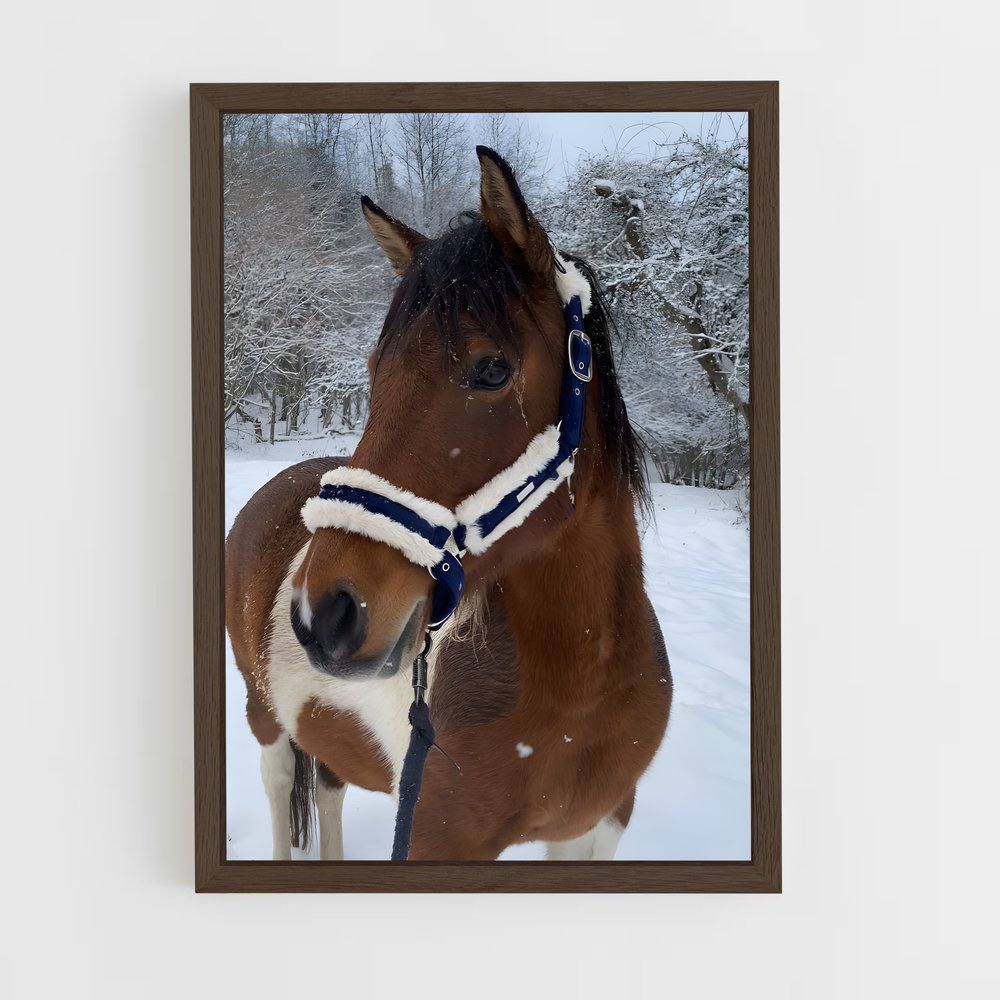 ap-horse-13 cadre Bois foncé