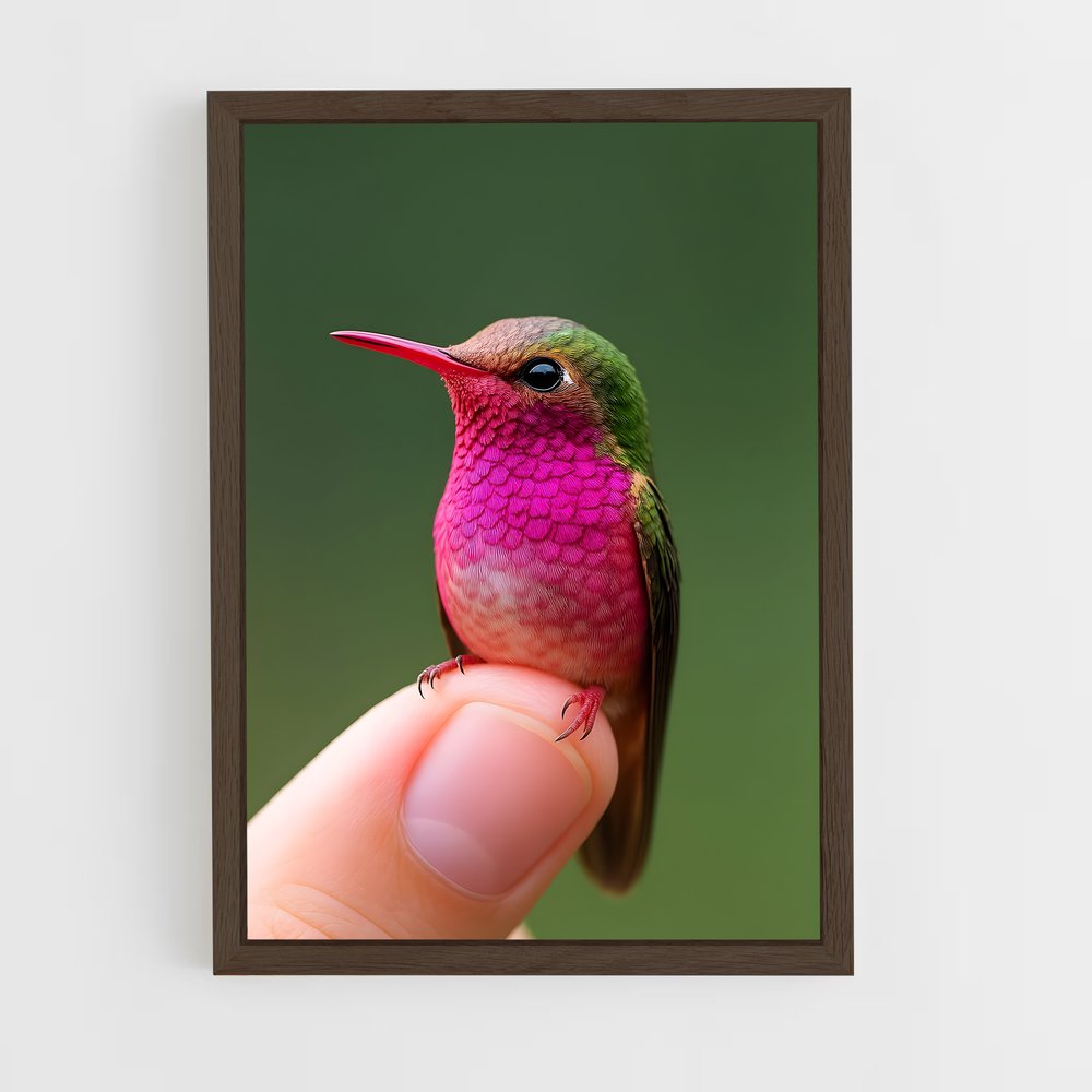 ap-hummingbird-6 cadre Bois foncé