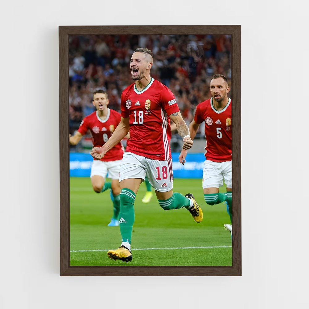 ap-hungary national football team-8 cadre Bois foncé