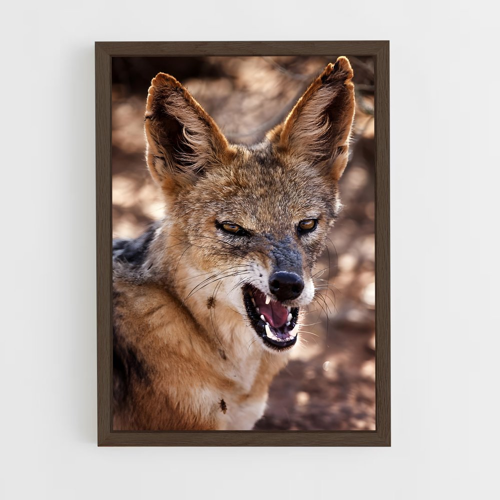 ap-jackal-4 cadre Bois foncé