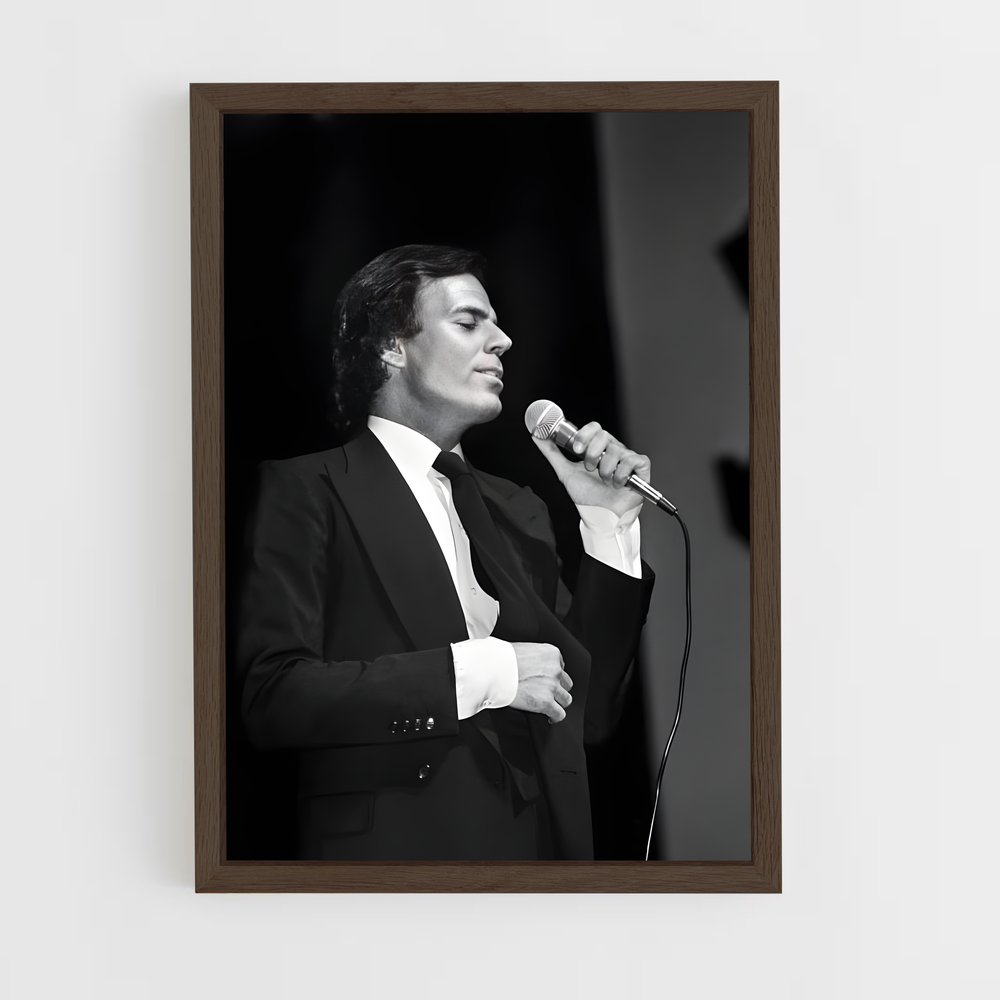 ap-julio iglesias-6 cadre Bois foncé