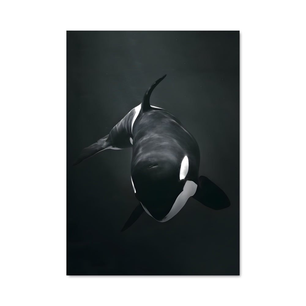 Poster L'Océan Majestueux