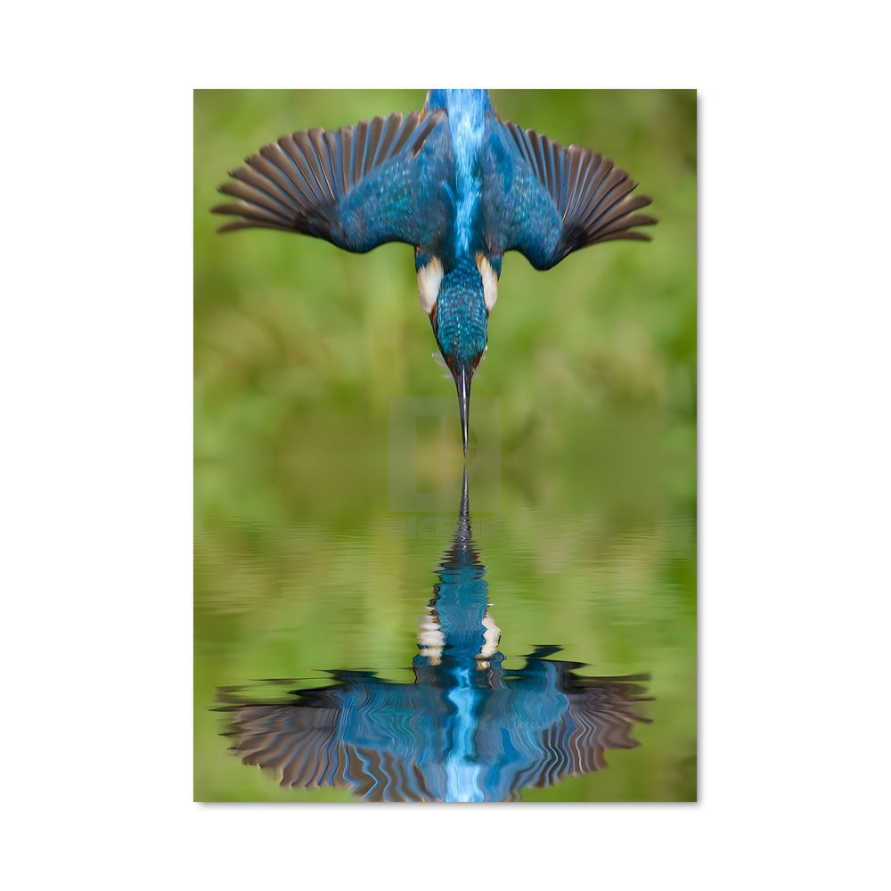 Poster L'Oiseau de Jade