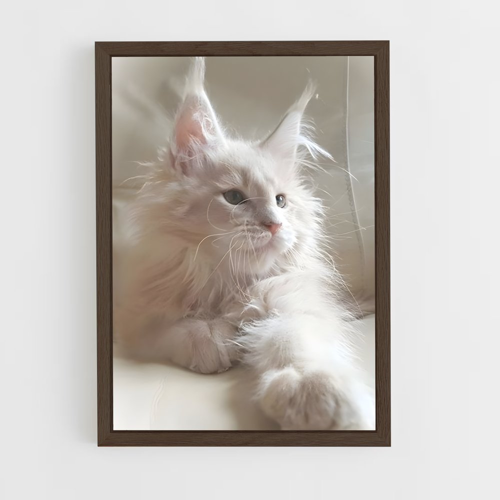 ap-maine coon-5 cadre Bois foncé