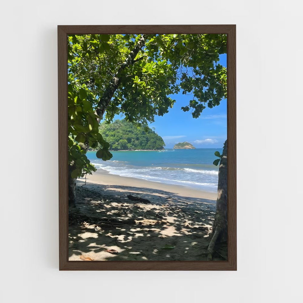 ap-manuel antonio beach-3 cadre Bois foncé