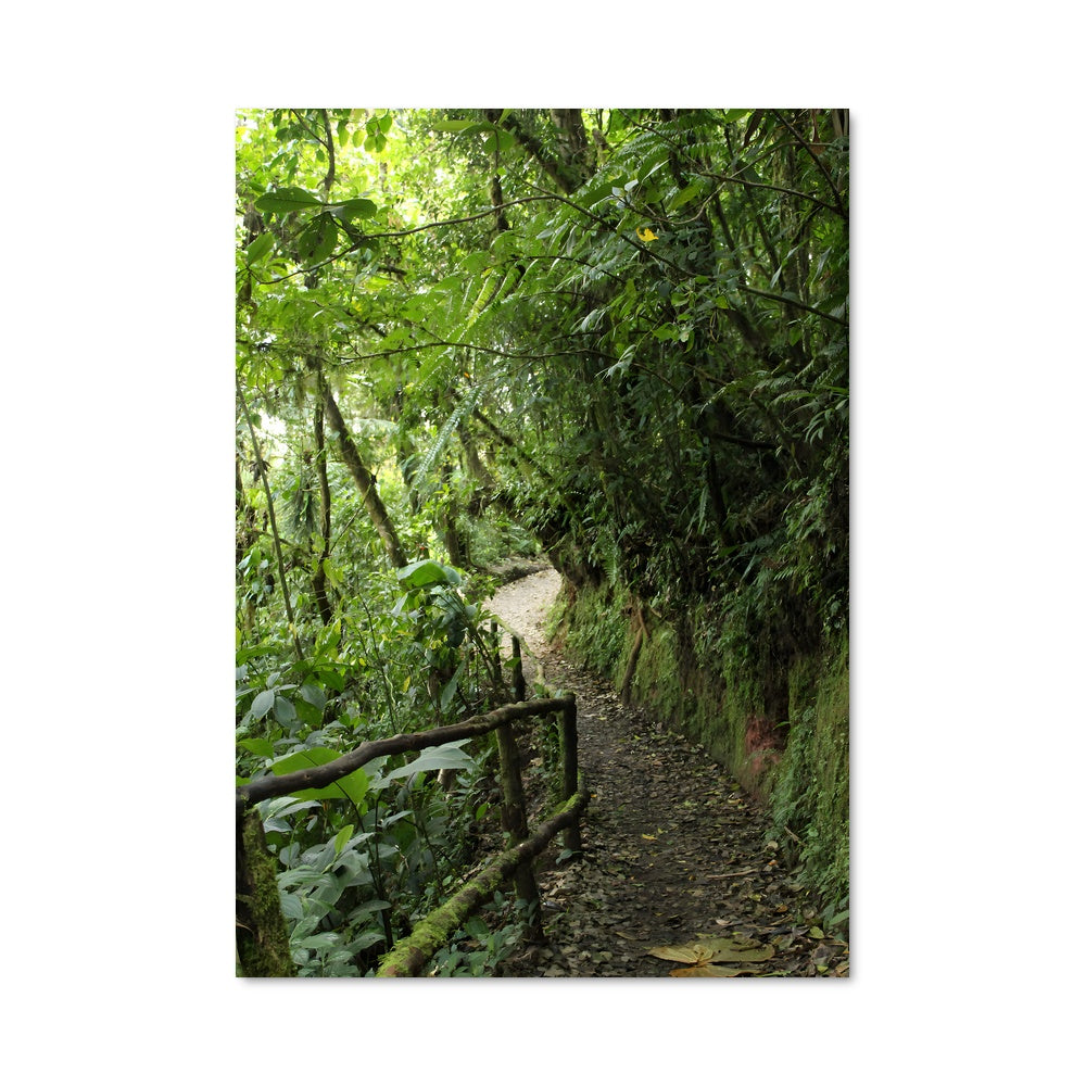 Poster Sentier Tropical