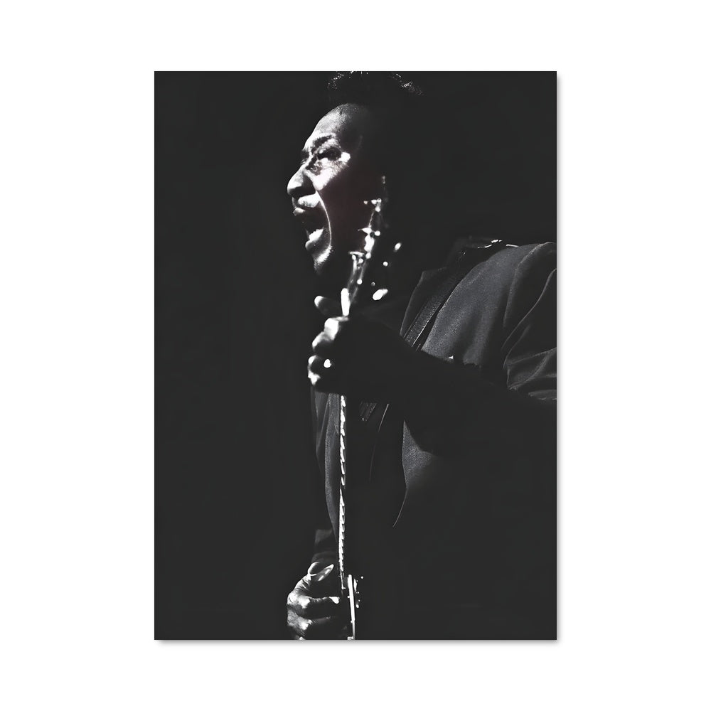 Poster Voice of the Blues