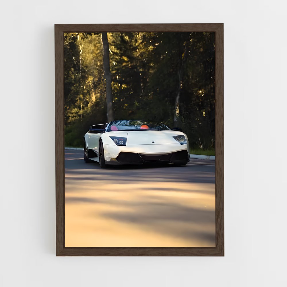ap-murcielago roadster-1 cadre Bois foncé
