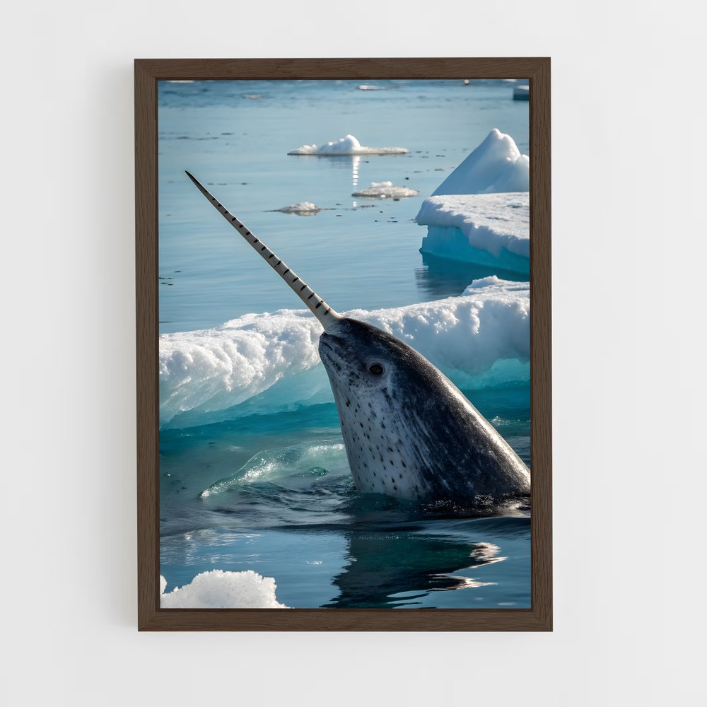 ap-narwhal-1 cadre Bois foncé