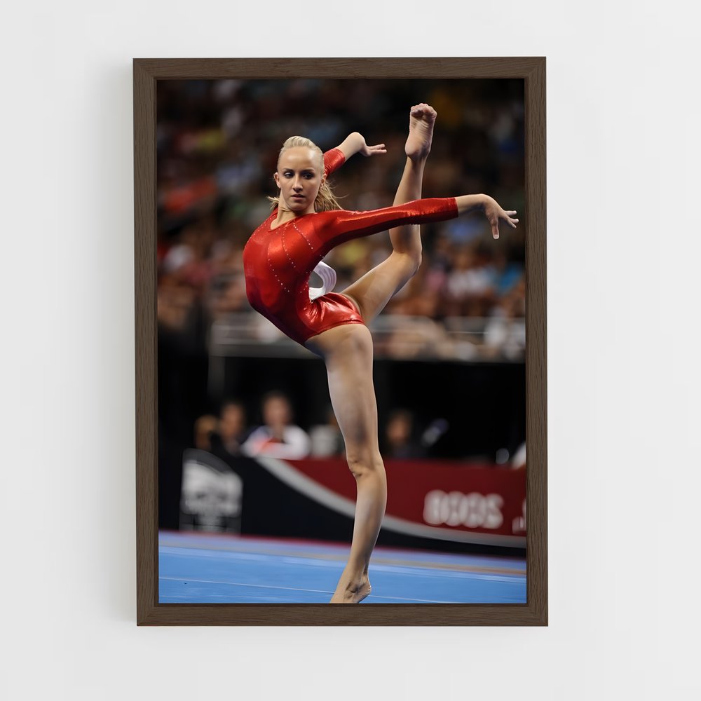 ap-nastia liukin-1 cadre Bois foncé