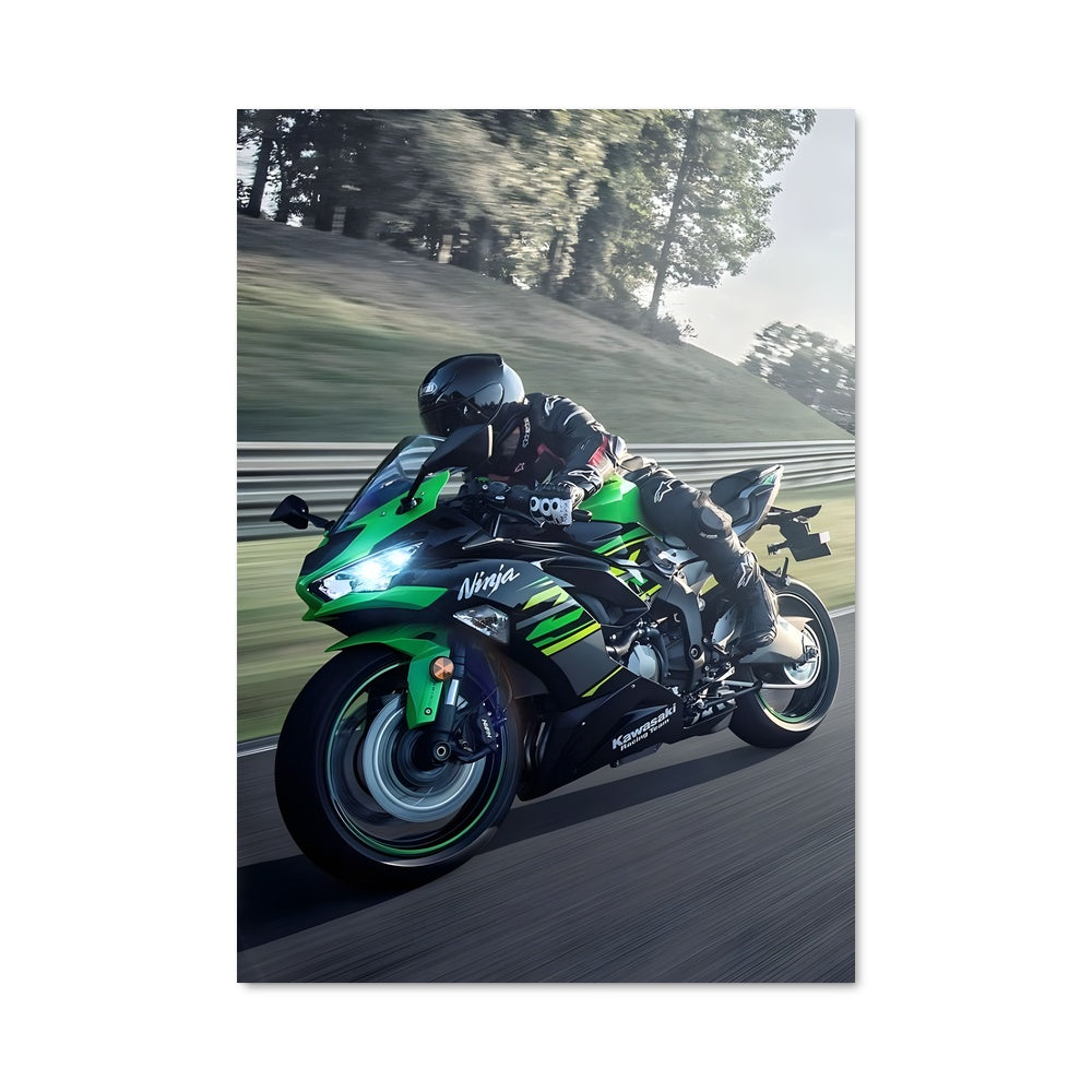 Poster Ninja 650 82391