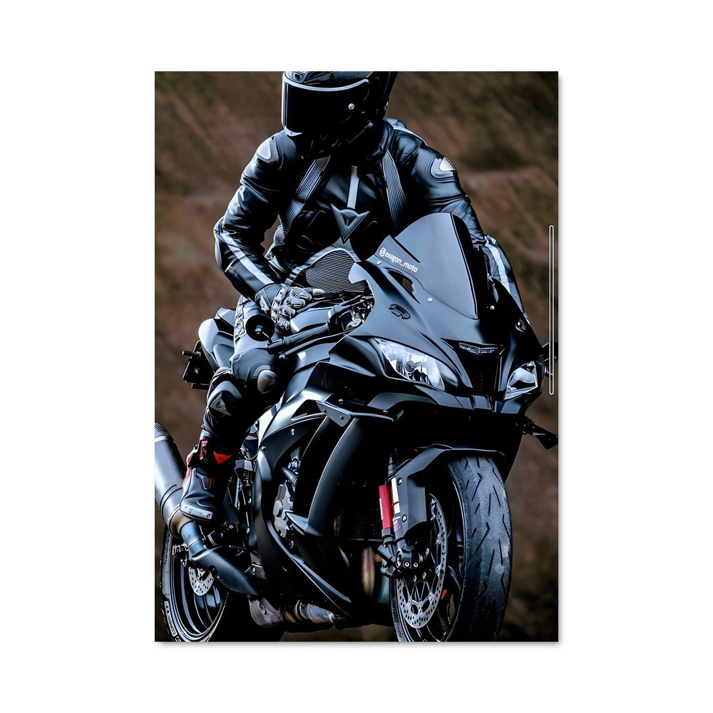 Poster Ninja h2 82397