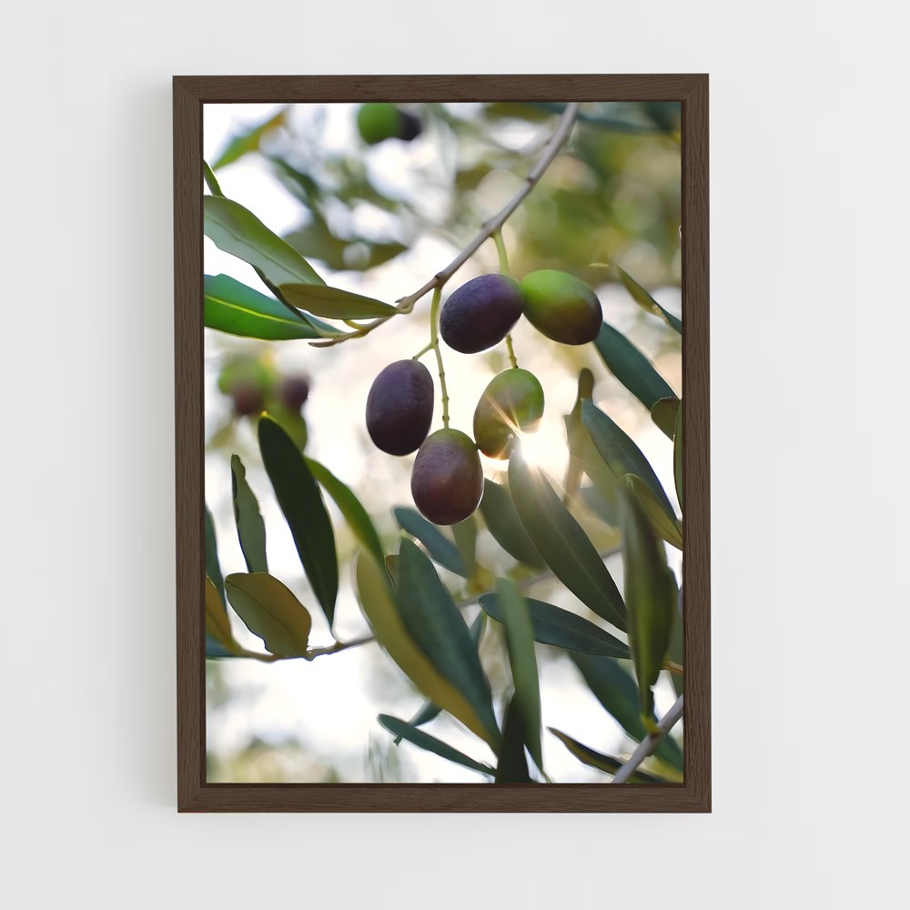 ap-olive oil-9 cadre Bois foncé