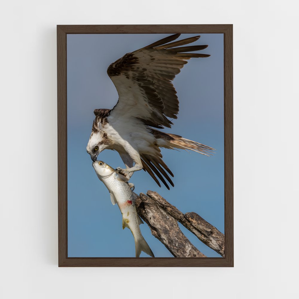 ap-osprey-6 cadre Bois foncé