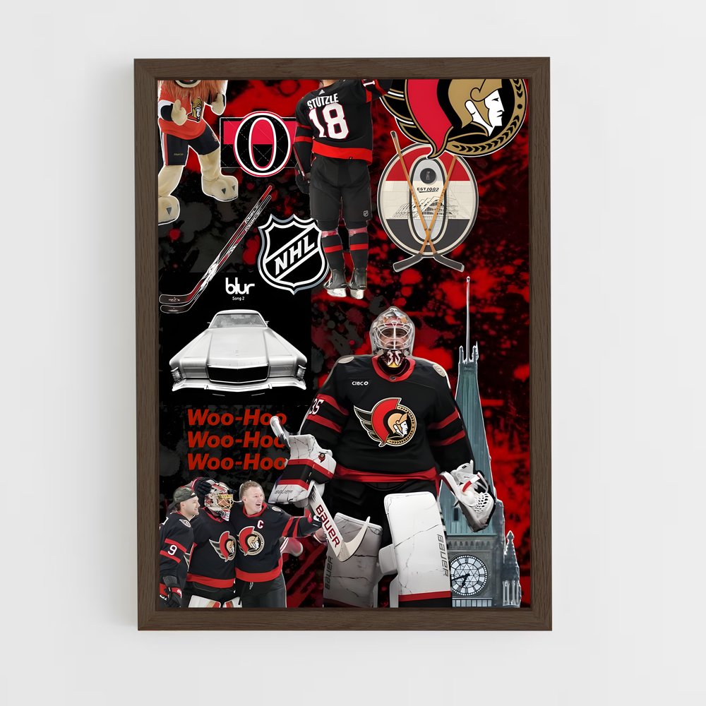 ap-ottawa senators-1 cadre Bois foncé
