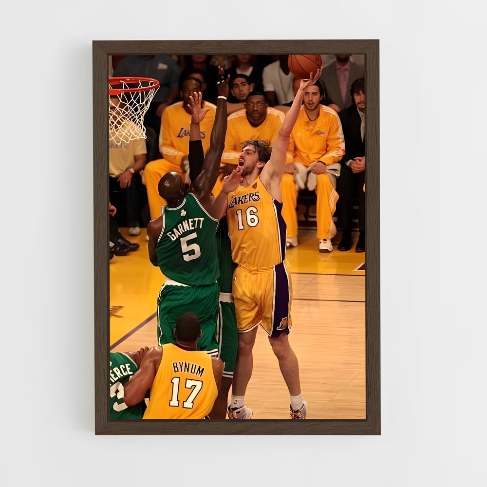 ap-pau gasol-11 cadre Bois foncé