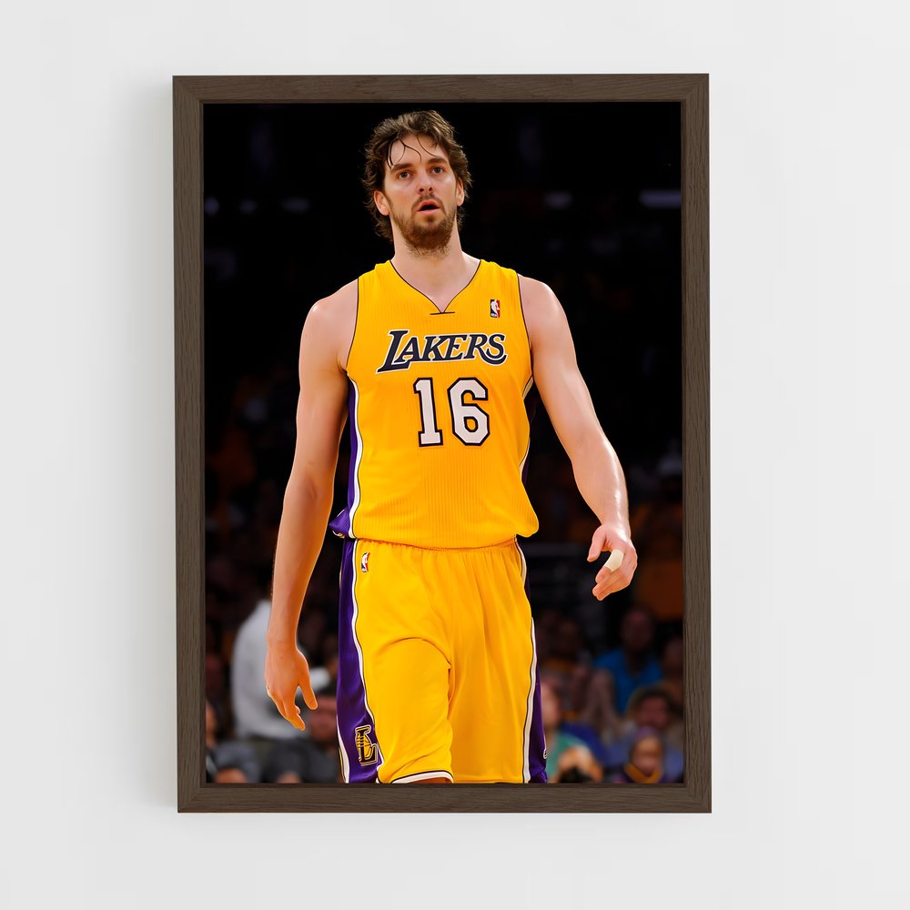ap-pau gasol-3 cadre Bois foncé