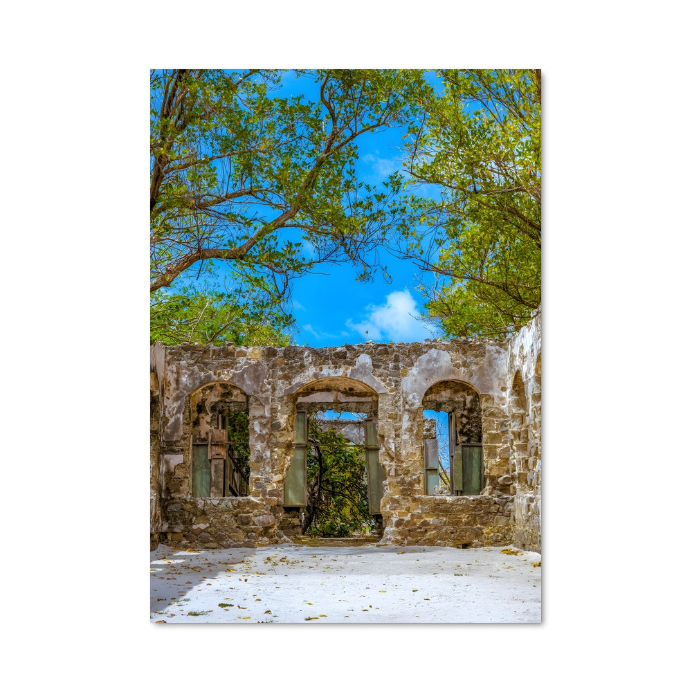 Poster L'Arbre Éternel