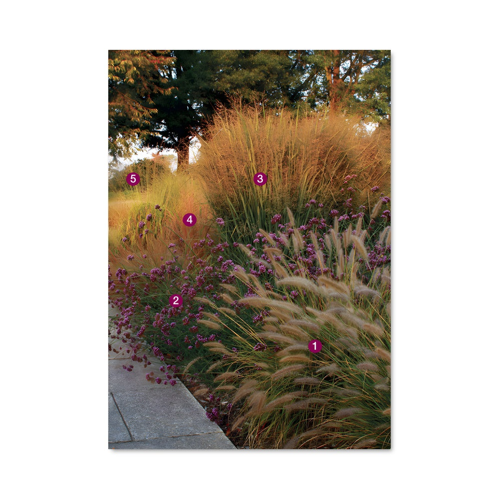 Poster Prairie 97374