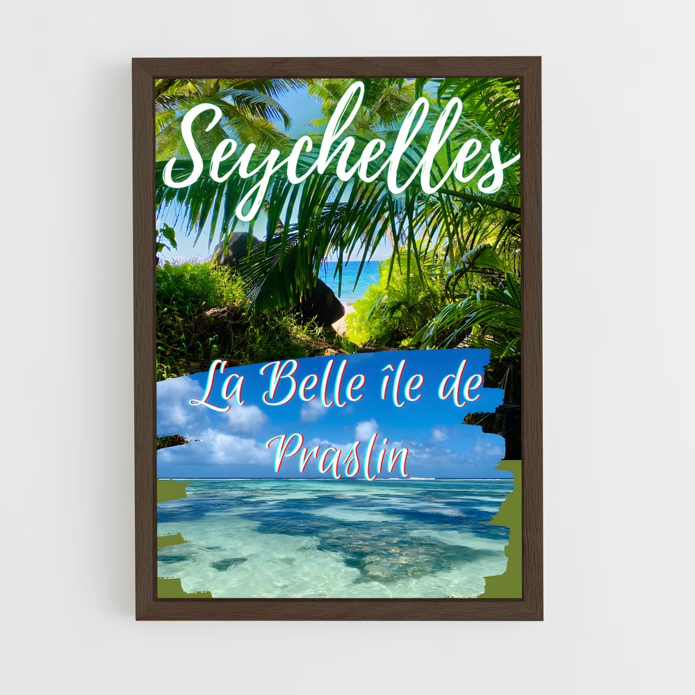 ap-praslin-1 cadre Bois foncé