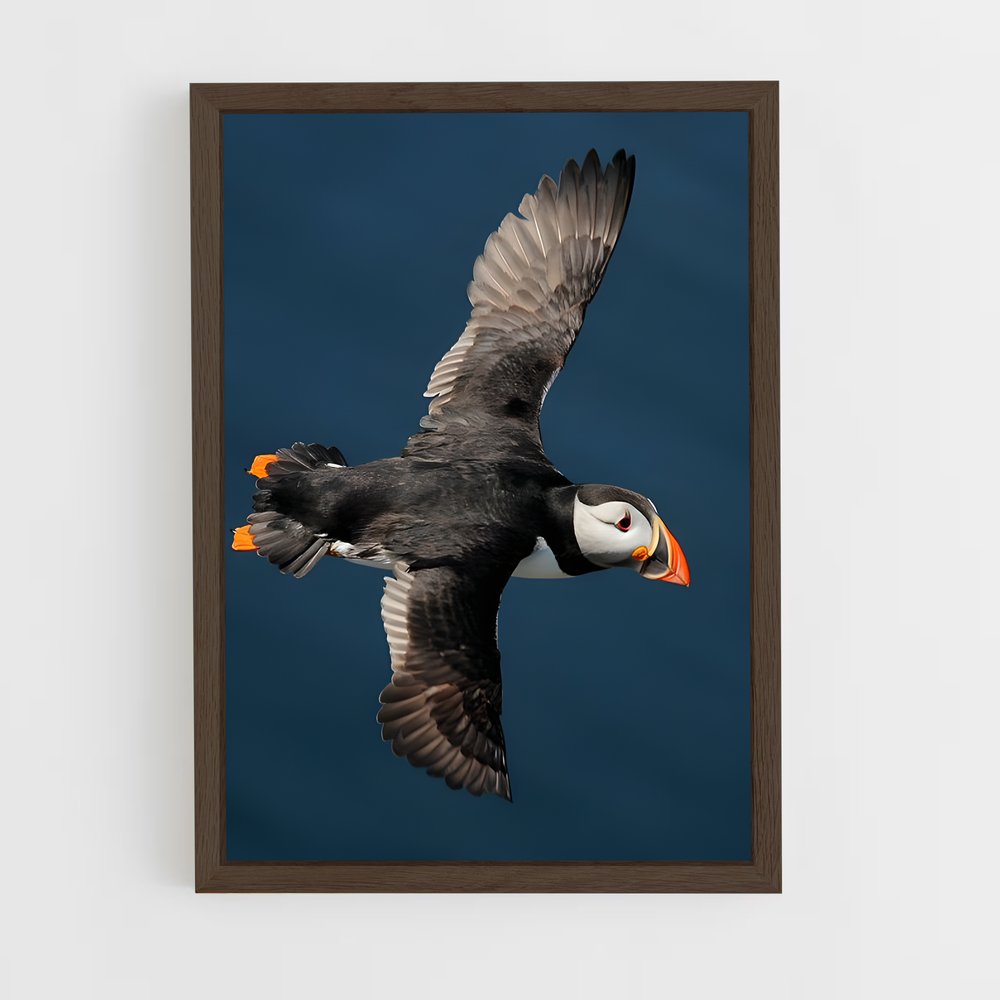 ap-puffin-8 cadre Bois foncé