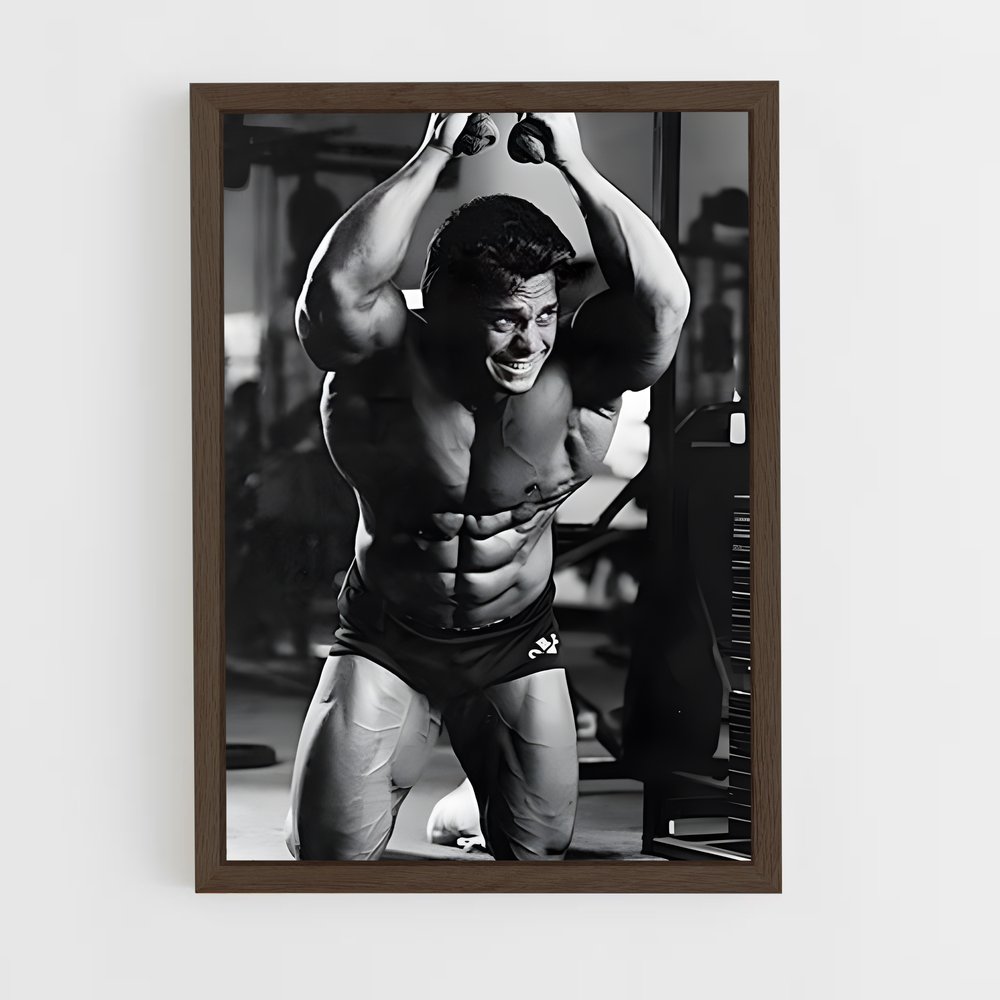 ap-rich gaspari-1 cadre Bois foncé