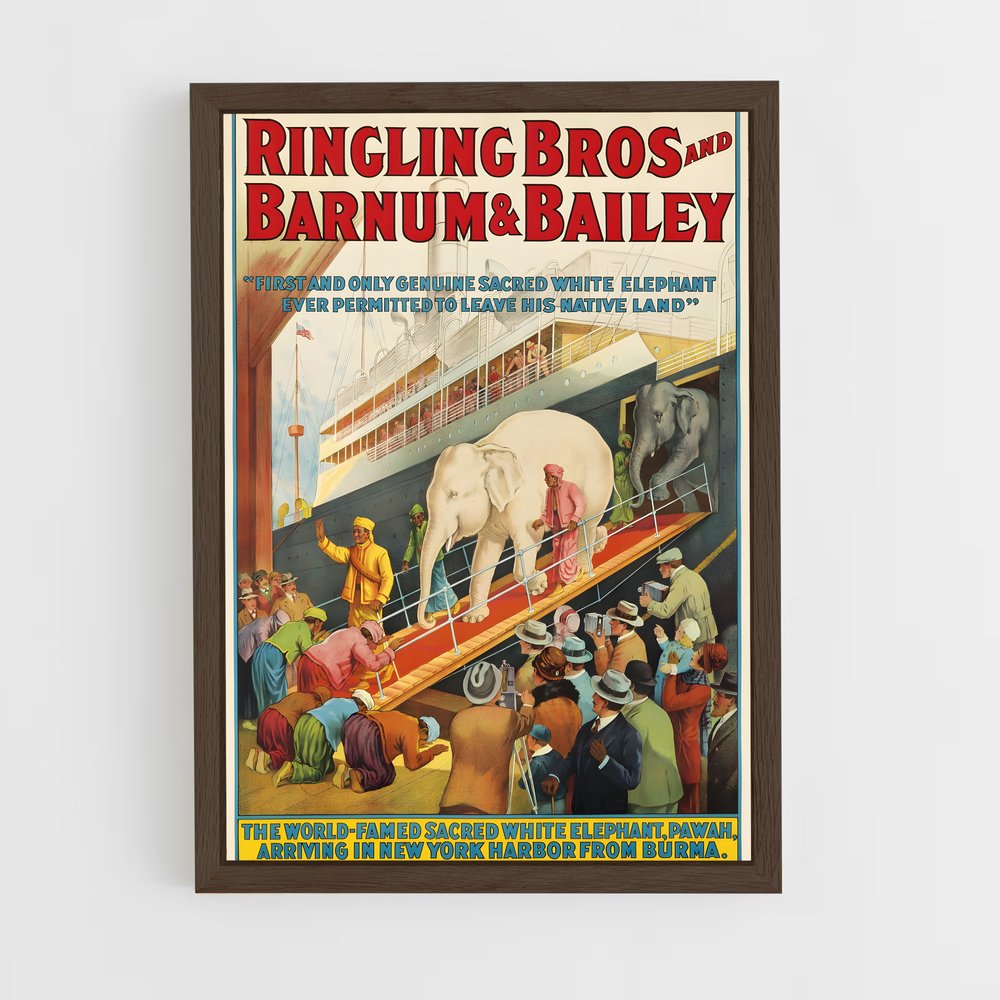 ap-ringling brothers-4 cadre Bois foncé