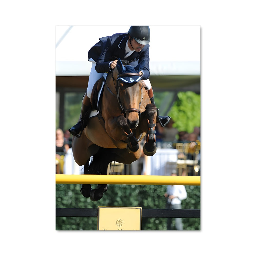 Poster Rodrigo pessoa 67410