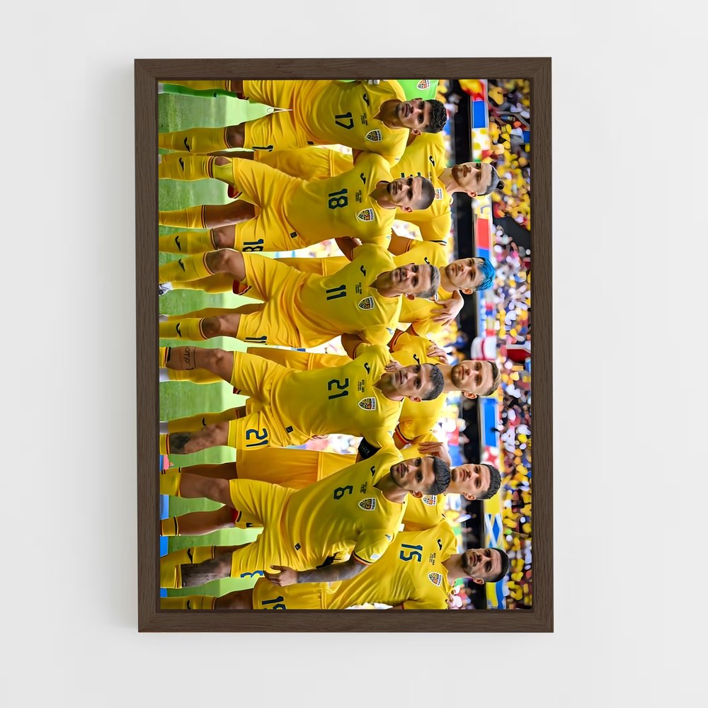 ap-romania national football team-2 cadre Bois foncé