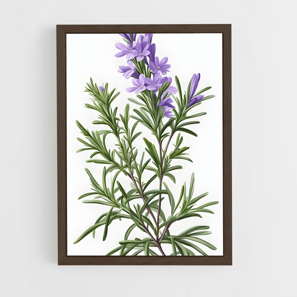 ap-rosemary-6 cadre Bois foncé