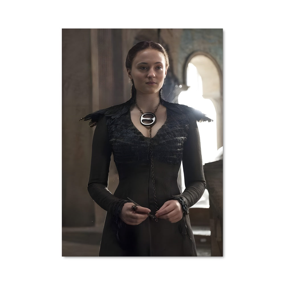 Poster Winter is Coming