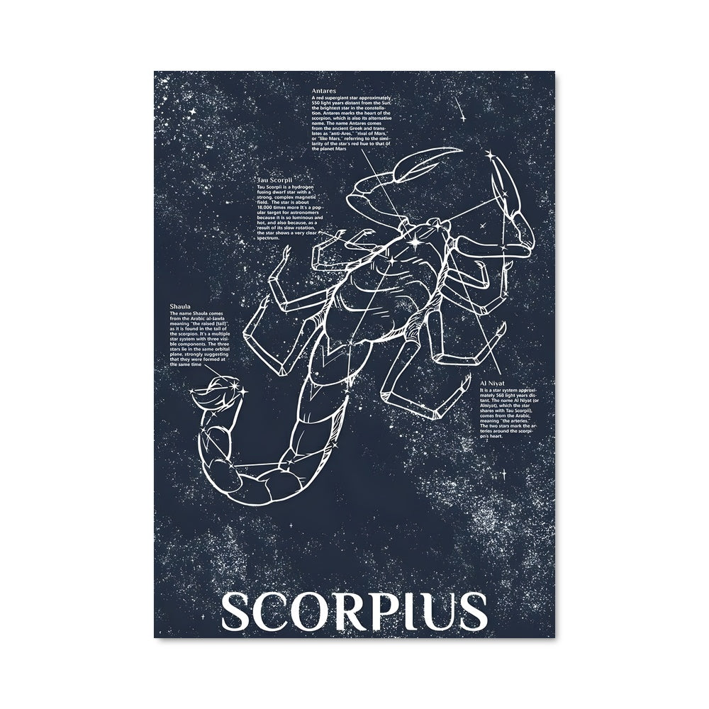 Poster Zodiacal Scorpius