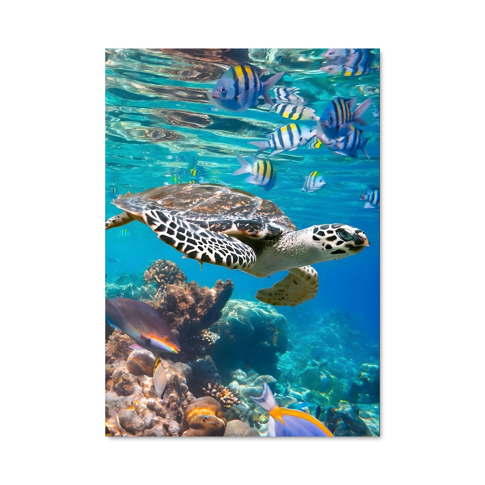 Poster Sea turtle 84316