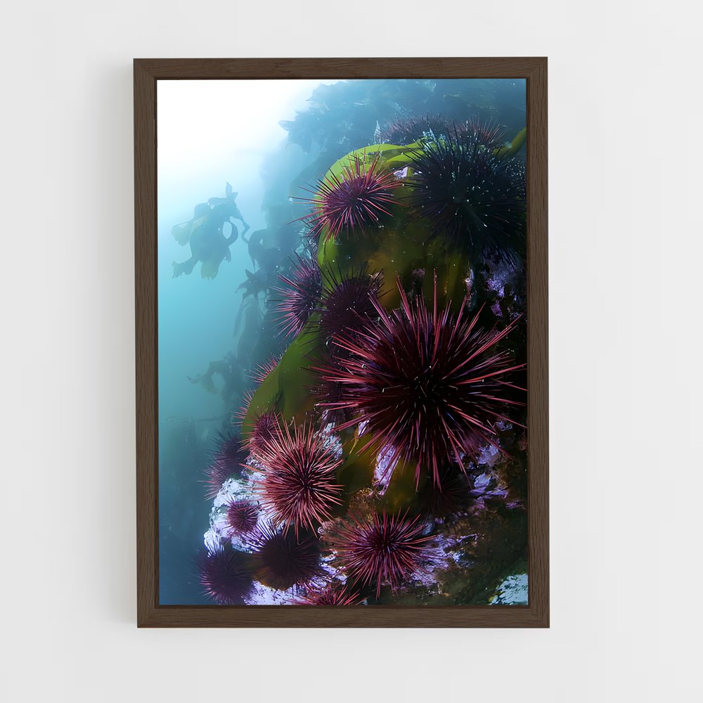 ap-sea urchin-2 cadre Bois foncé