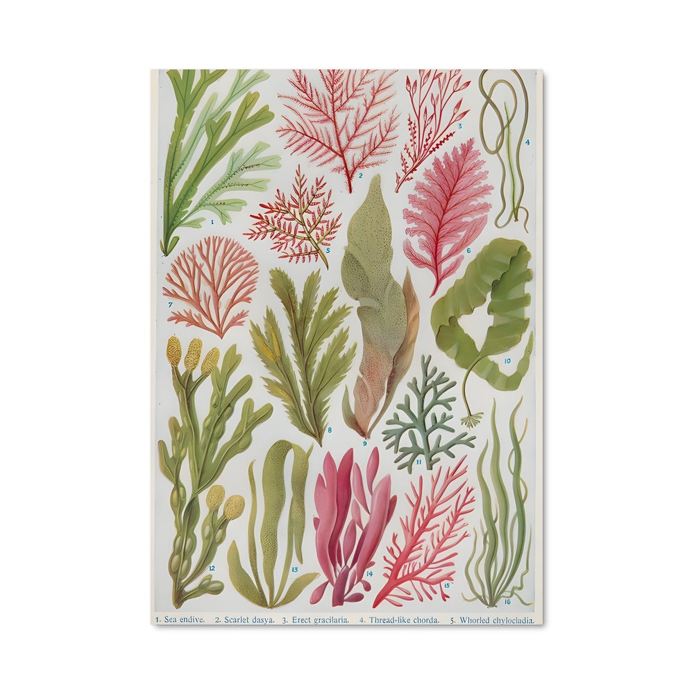 Poster Sous-Marin Vintage