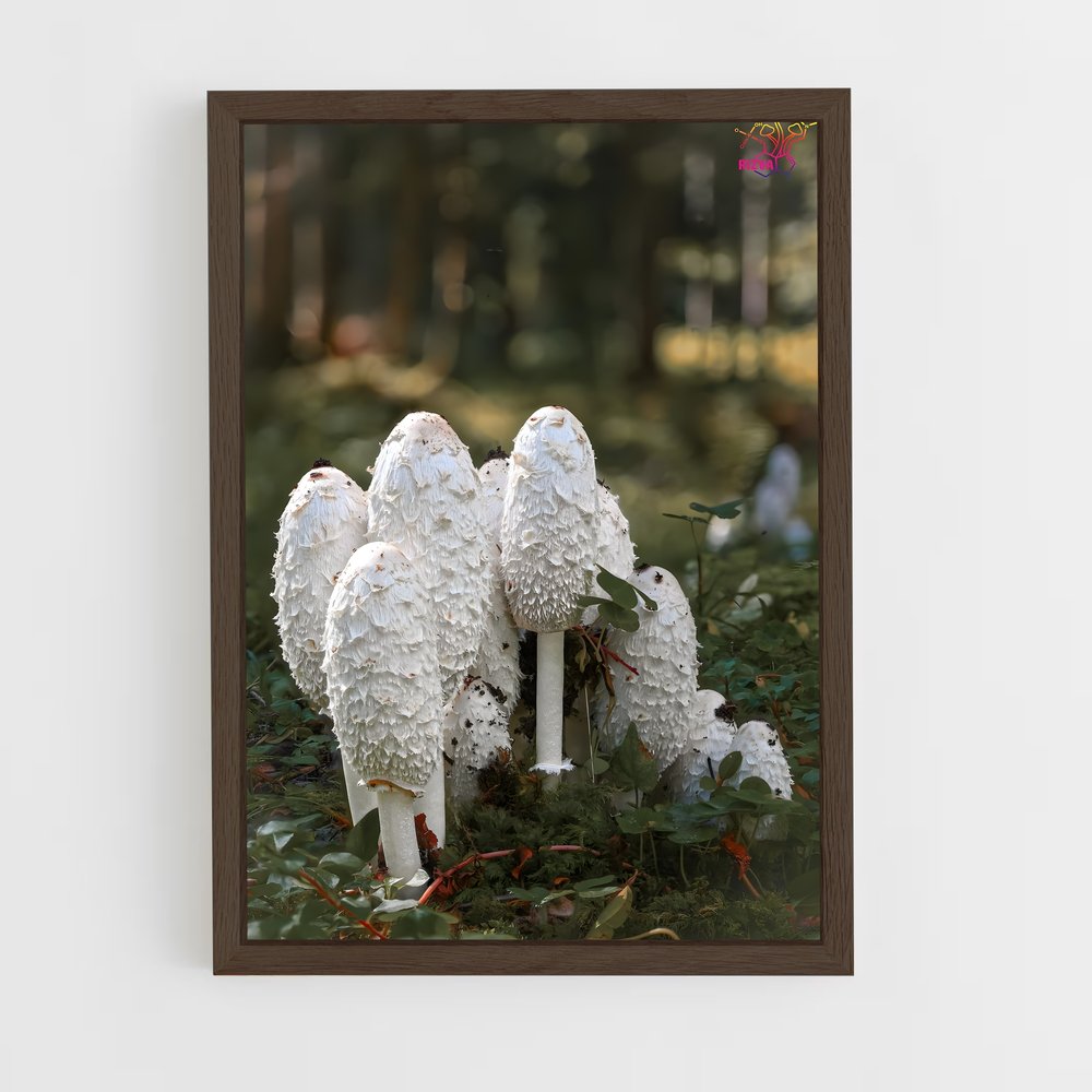 ap-shaggy mane-1 cadre Bois foncé